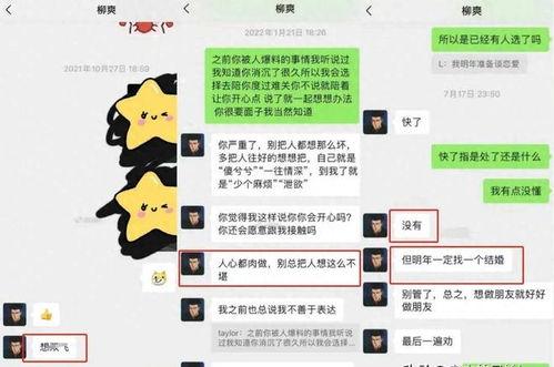 柳爽女友爆料视频大全,揭秘娱乐圈背后的真相与情感纠葛  第3张
