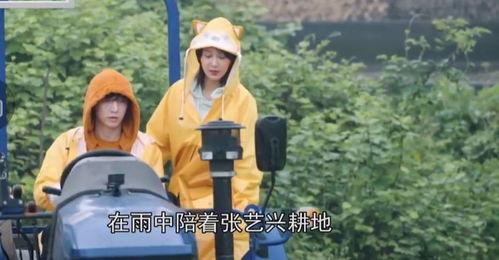 陈大锤最新爆料视频播放,揭秘幕后真相,精彩瞬间回顾 第2张 陈大锤最新爆料视频播放,揭秘幕后真相,精彩瞬间回顾 第2张